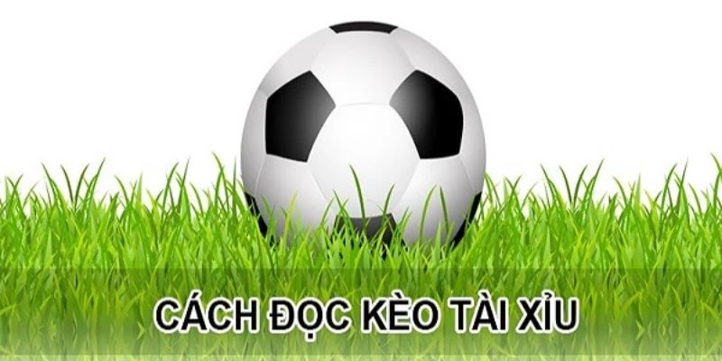 Hướng dẫn cách đọc kèo chính xác để thành viên tham gia